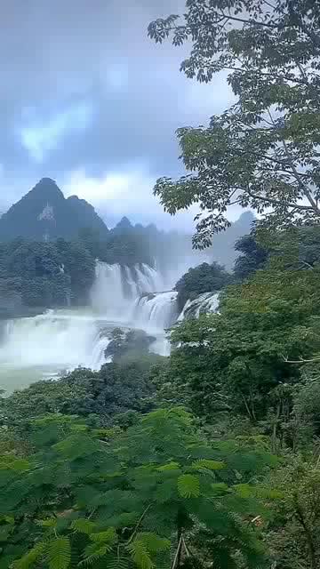 索瑞尔花园逃生